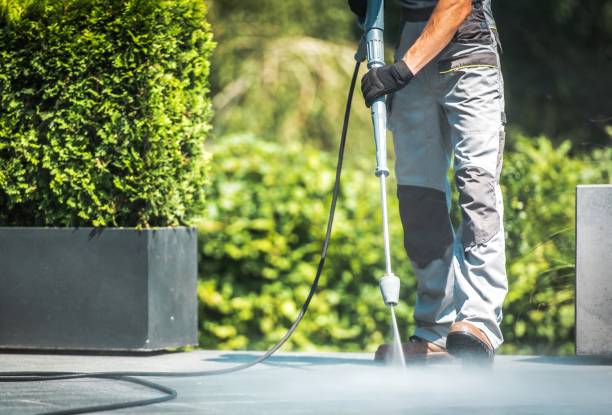 Best Dumpster Area Cleaning  in Lawtey, FL